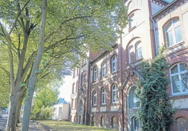 Bäume vor einem großen Backsteingebäude mit vielen hohen Fenstern an einem Sommertag.